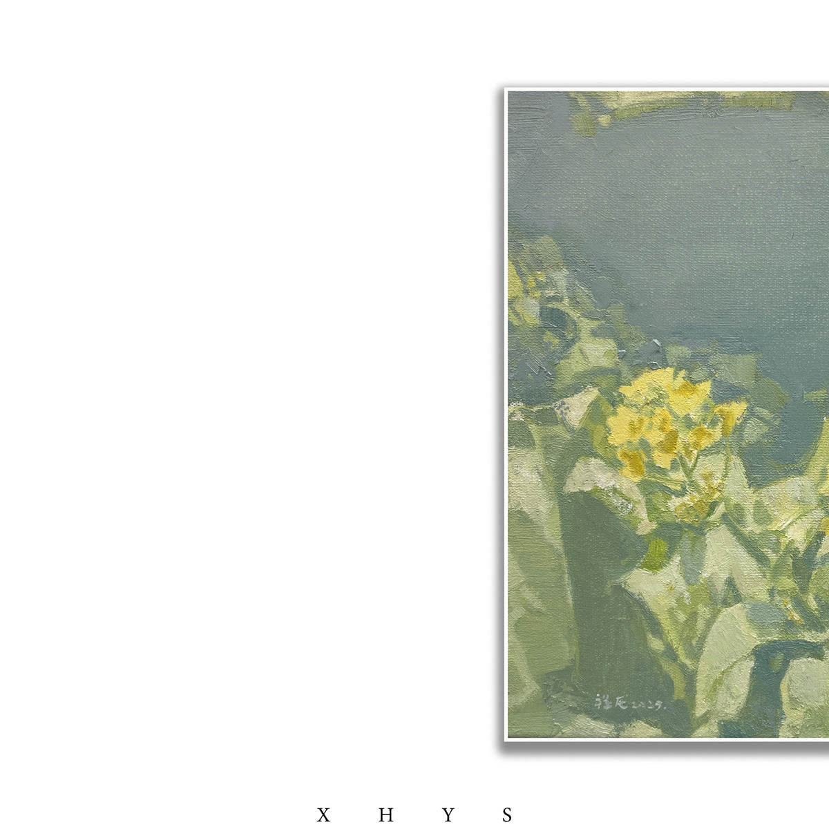 晓红艺术空间 I 5 层展厅原创手绘油画《油菜花》