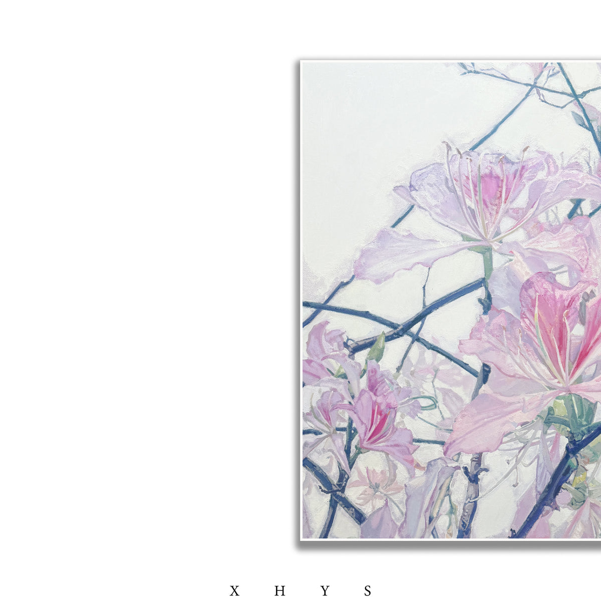 晓红艺术空间 I 5 层展厅原创手绘油画作品《粉紫荆华》
