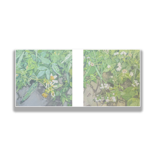 晓红艺术空间 I 5层展厅原创手绘油画作品《绿意栖心》