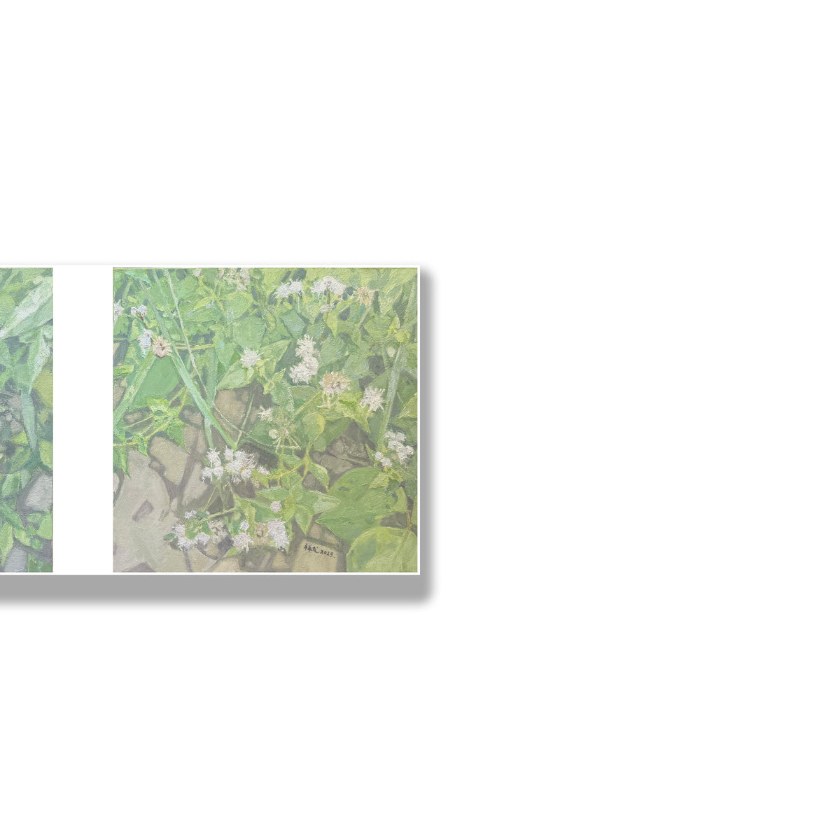 晓红艺术空间 I 5层展厅原创手绘油画作品《绿意栖心》