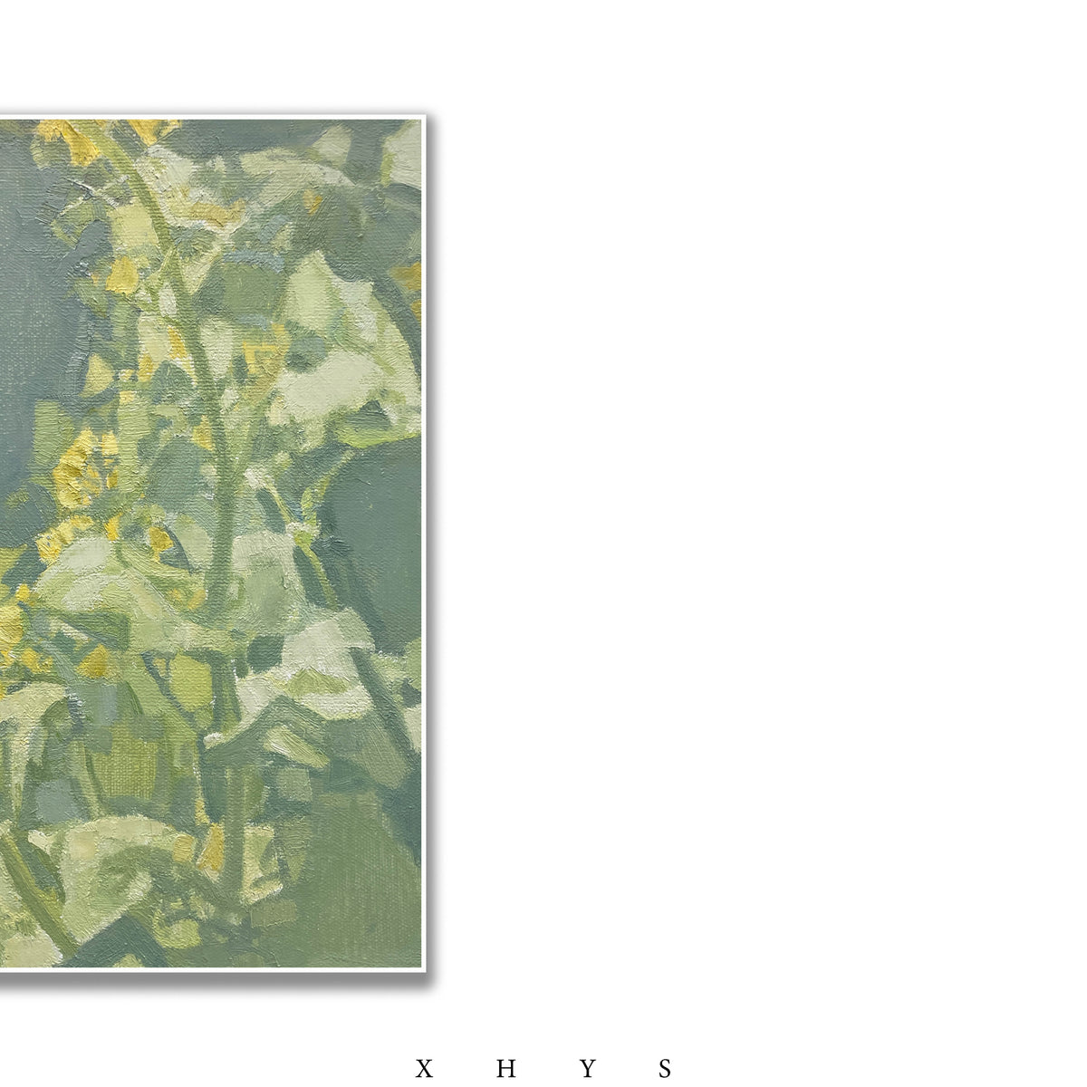 晓红艺术空间 I 5 层展厅原创手绘油画《油菜花》